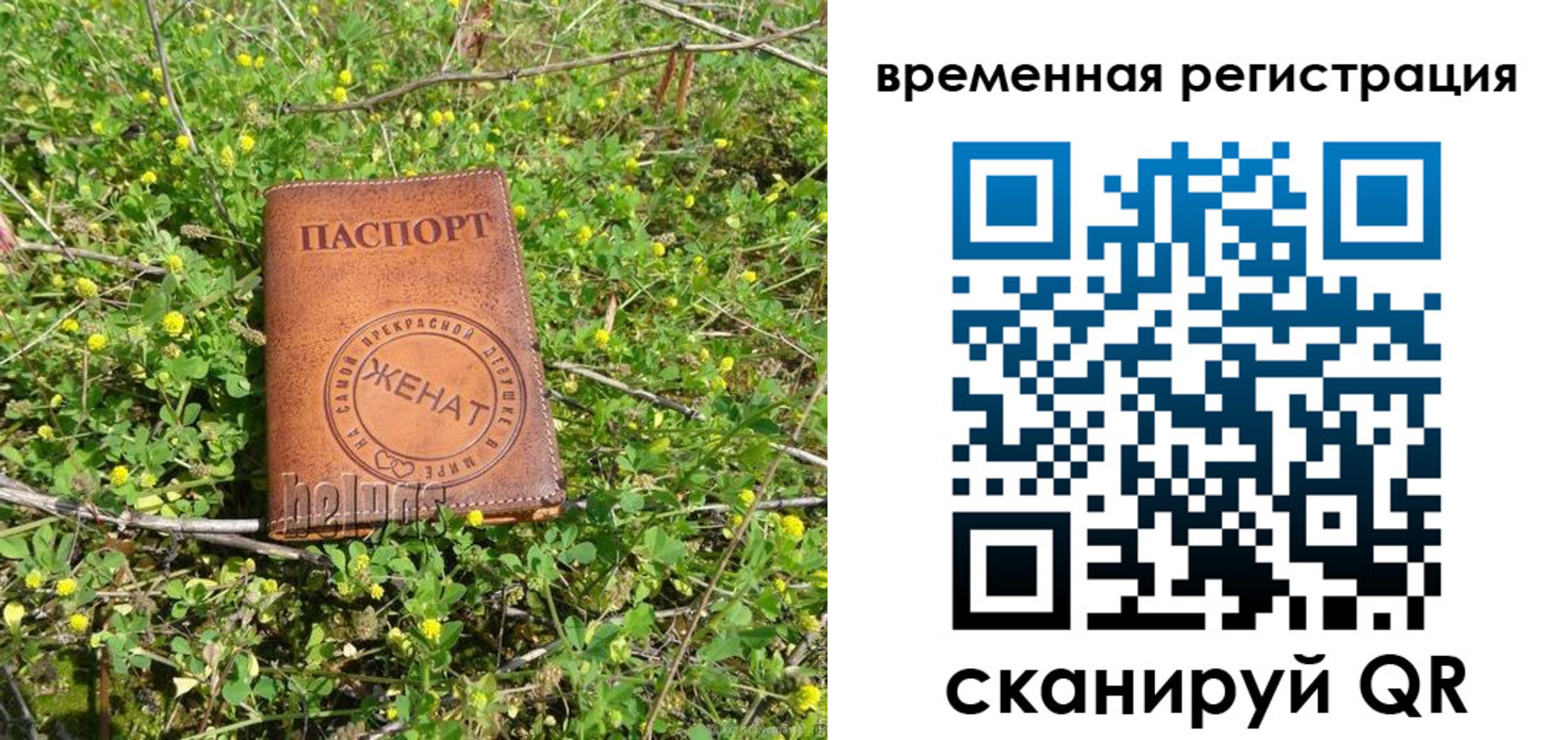 прописка регистрация в Кораблино